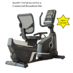 Commercial Recumbent Bike