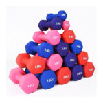 Neoprene-Vinyl Aerobic Dumbbells nairobi kenya