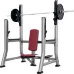 Commercial Olympic Shoulder Press Bench