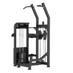 assisted dip chin up machine