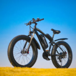 Powerful OFF ROAD Electric Bike