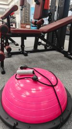 Bosu Ball balance trainer