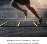 Adjustable Agility Ladder