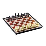 Brains Magnetic Chess