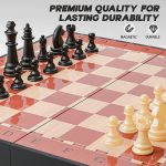 Brains Magnetic Chess