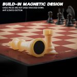 Brains Magnetic Chess