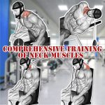 Head Harness Exerciser