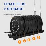Horizontal Plate and Olympic Bar Rack Organizer