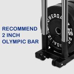 Horizontal Plate and Olympic Bar Rack Organizer