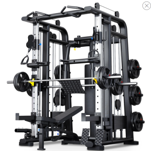 Commercial P1 Smith Machine