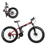 Folding Fat Tire Bike
