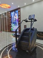Heavy Commercial Stair Master
