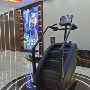 Heavy Commercial Stair Master