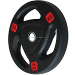 25kg Gym Rubber Coated Weight Plates