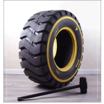 Gym Equipment Tire